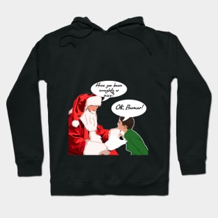 OK Boomer Funny Christmas Design Hoodie